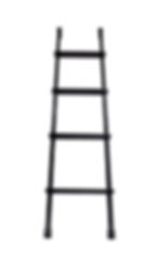 Bunk Ladder